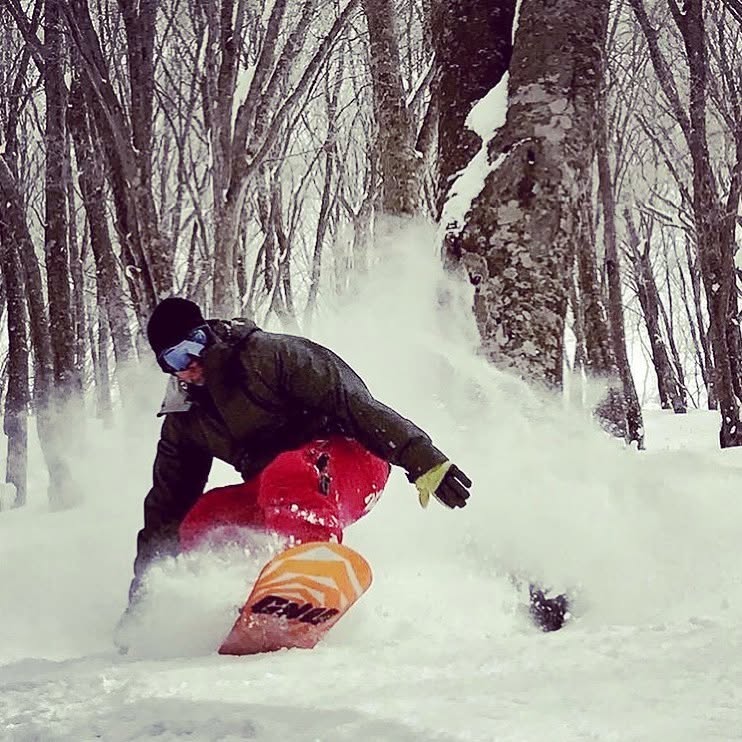 boarder