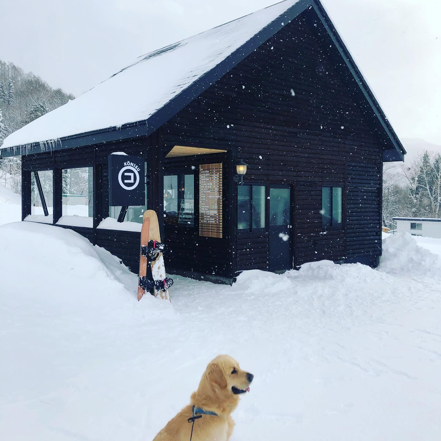 coffee-shop